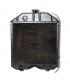 RADIATEUR EAU MASSEY FERGUSON LANDINI  3557716