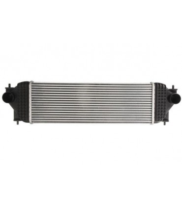  Radiateur moteur RENAULT R10