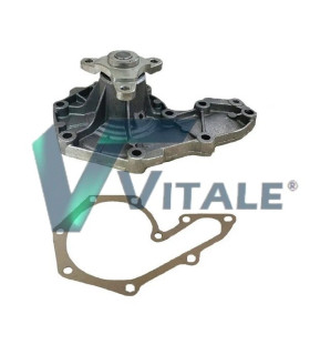 WATER PUMP FOR RENAULT 210107370R 30855991 3287751 3343093 3344251