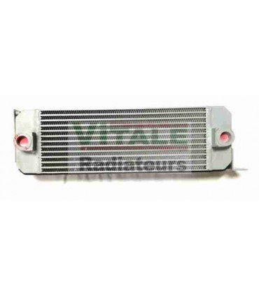 RADIATEUR HUILE DIECI